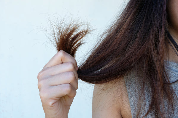 Long Hair Cut