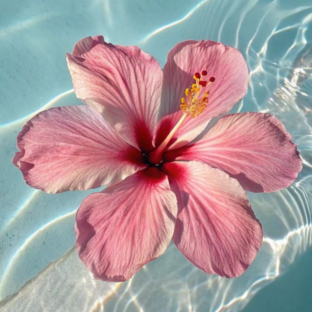 End of Summer Glow Bundle at ICY GLOW BEAUTY in San Antonio, TX
