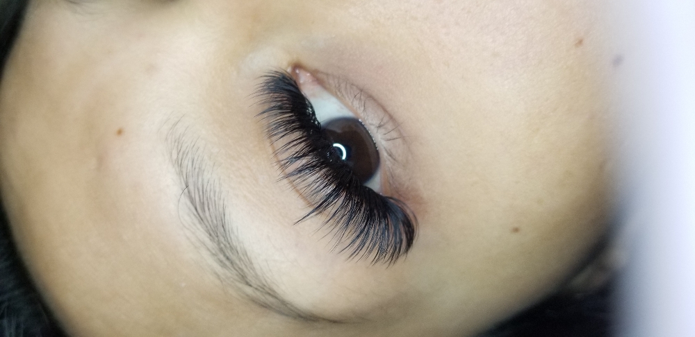 Volume Lashes