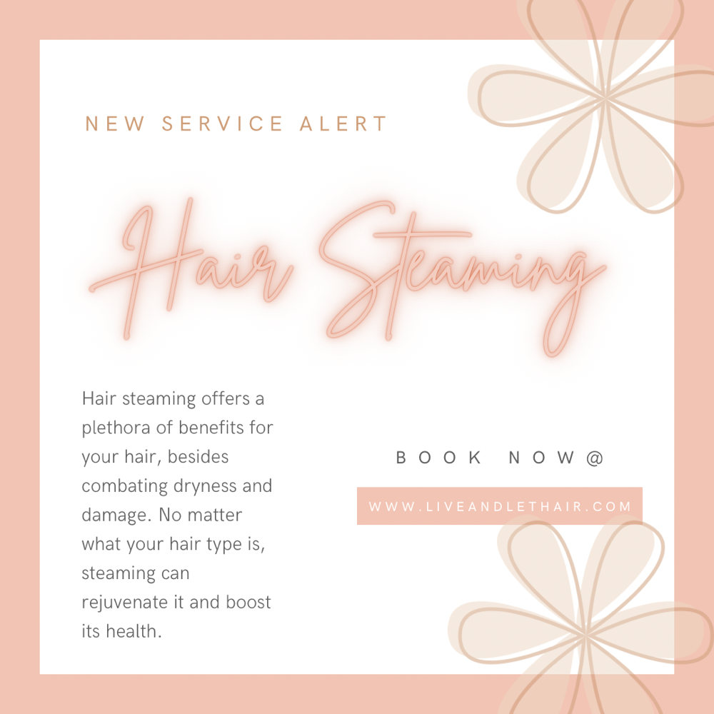 Hair Steaming Treatment