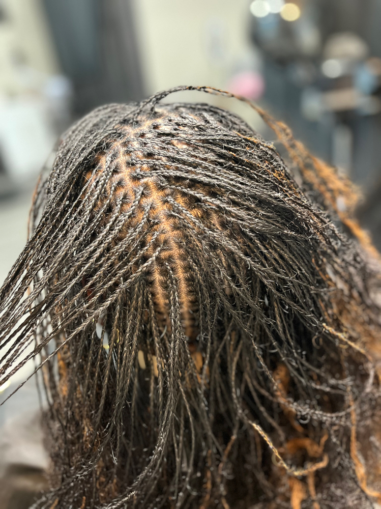 Micro Locs Start Up With EXTENSIONS