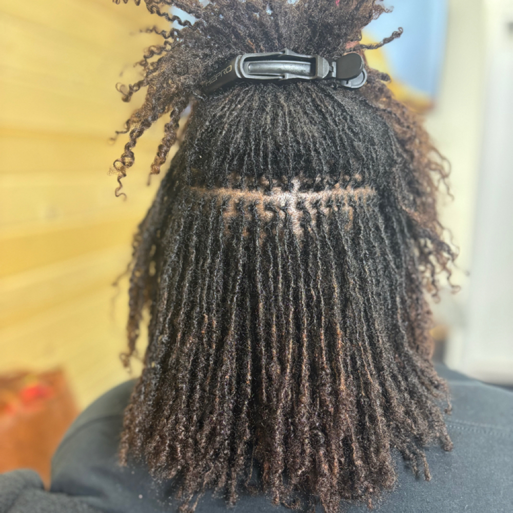 Micro Loc Touch up Only at Loc Bar DTX in Duncanville, TX