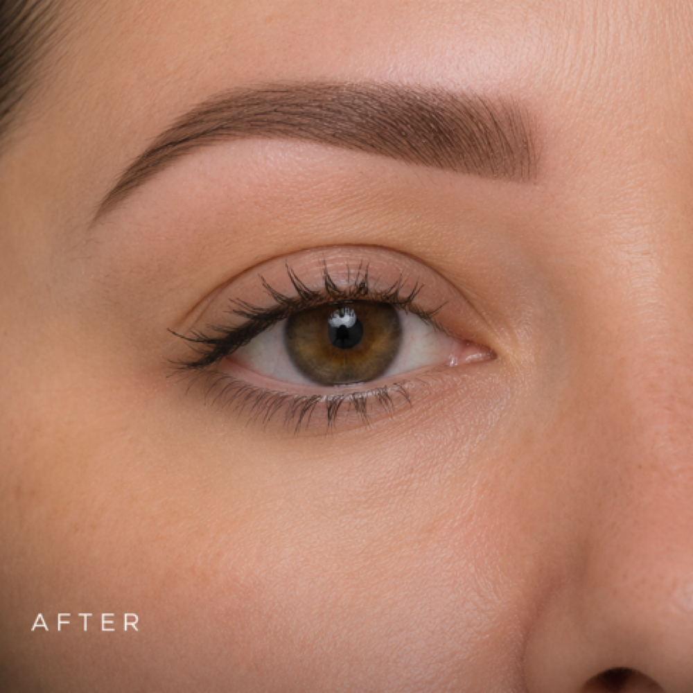 Ombrè 4- 6 Week Touchup at Jane Rozier Permanent Makeup & Esthetics in La Vista, NE