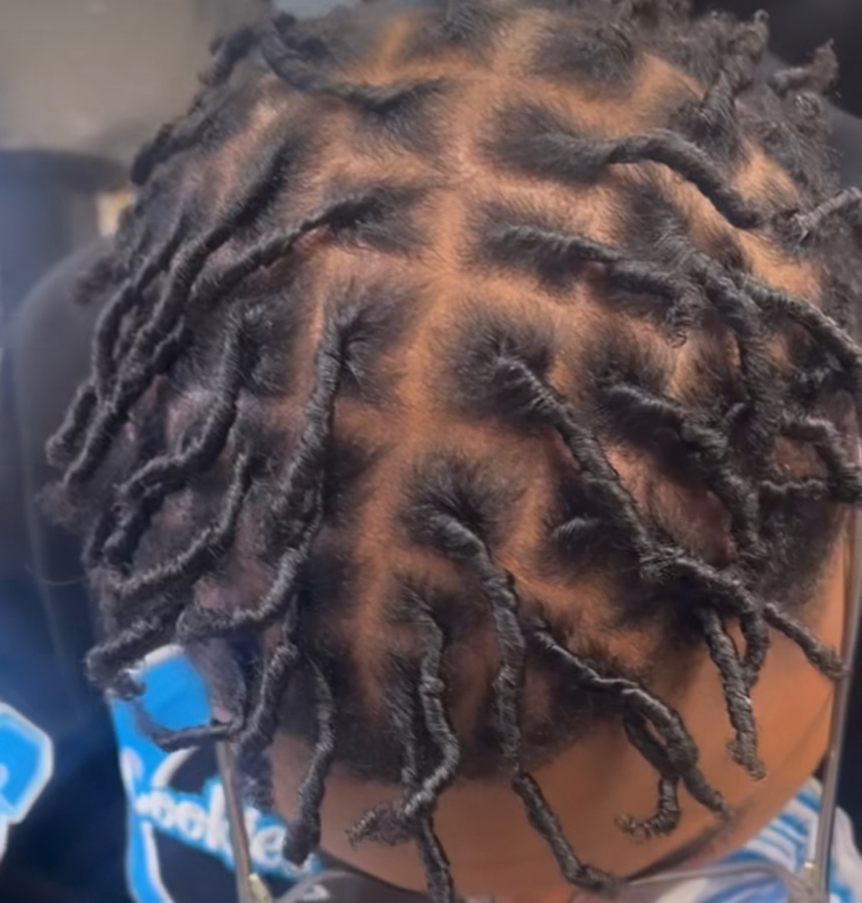 Starter Locs at HAUS OF JAYLA in Murfreesboro, TN