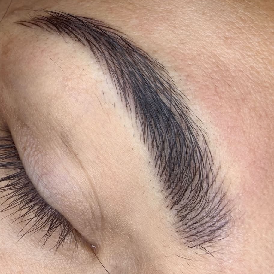 Nano Brows Touch-Up at SR Beauty Studios in Sacramento, CA