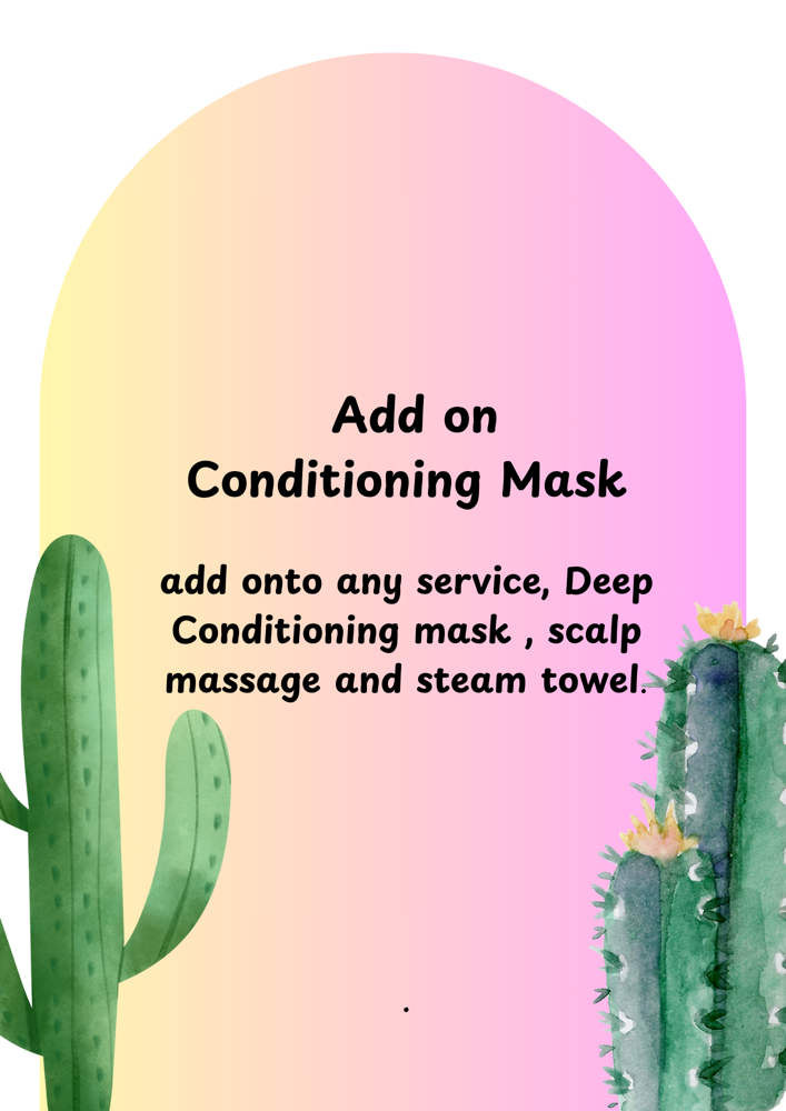 Add On Conditioning Mask