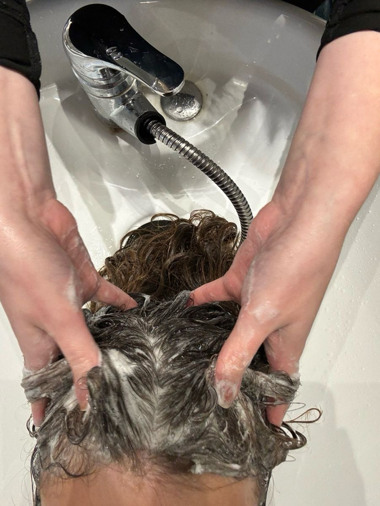 Shampoo + Style