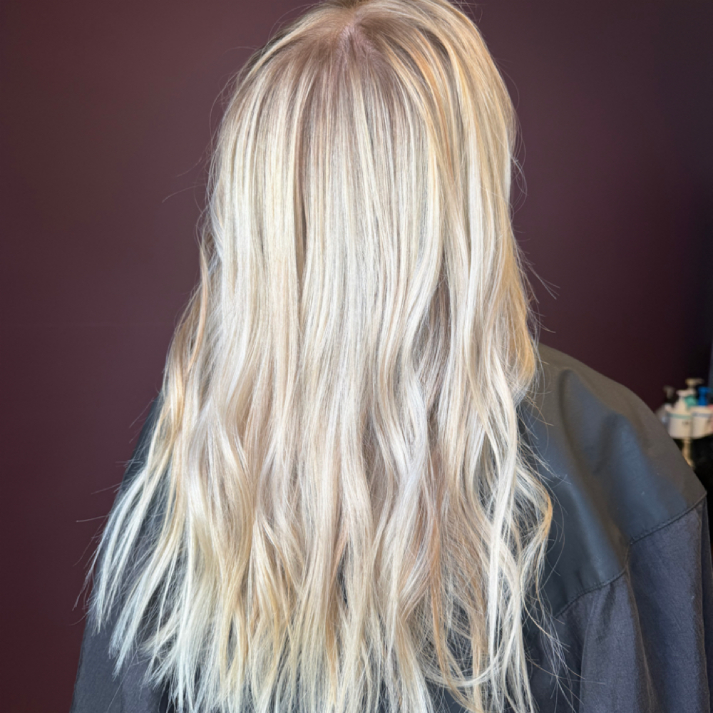 Half Head ✨Babylights ✨ at yourmanegirl.allycooper in Deland, FL