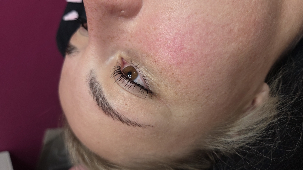 Lash Tint Only