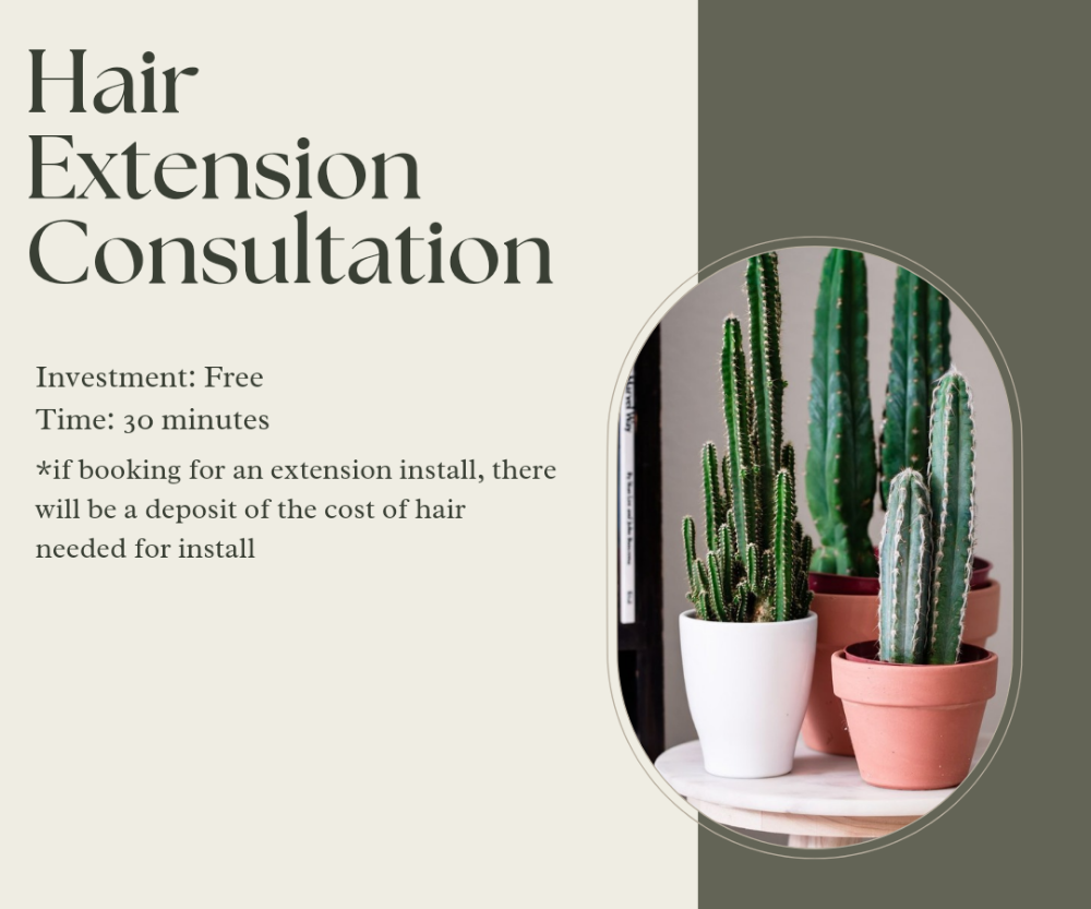 Hair Extension Consultation