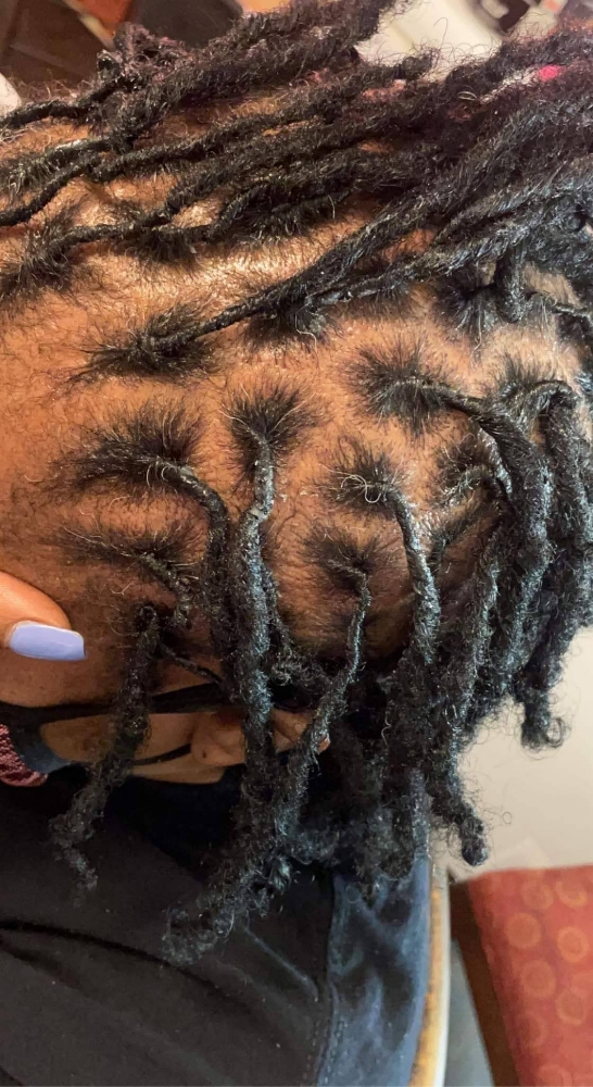 Dreadlock Retwist