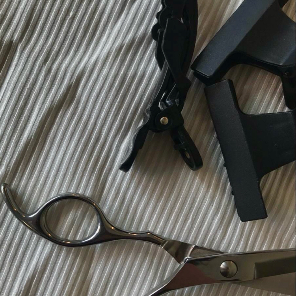 Consultation at Shadow & Shear in San Jose, CA