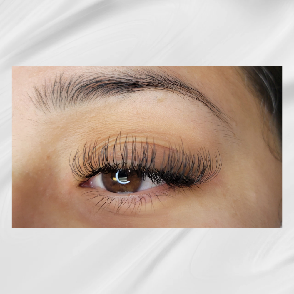 CLASSIC LASHES