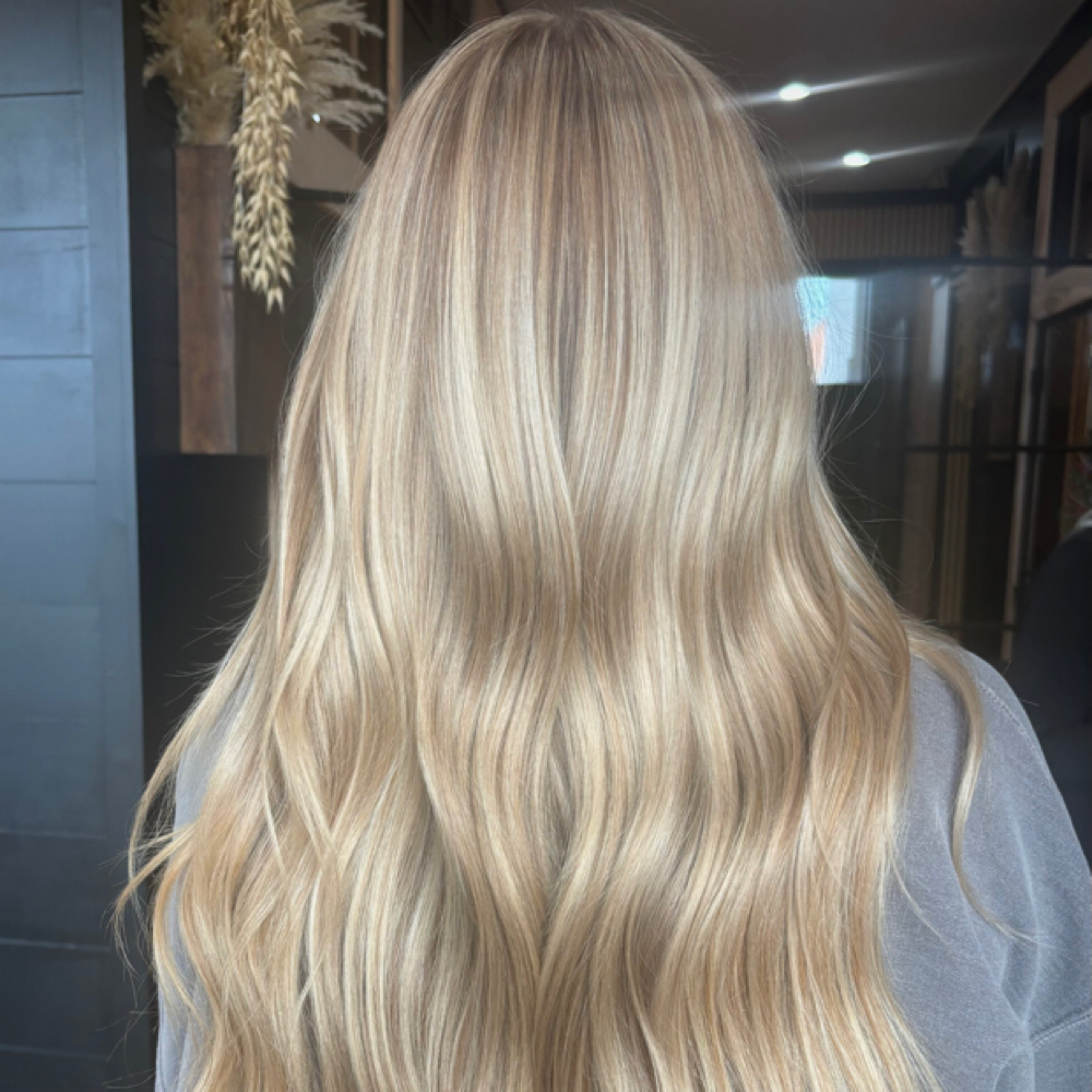 Full Foil / Balayage at Lovelybee Studio in Fowlerville, MI