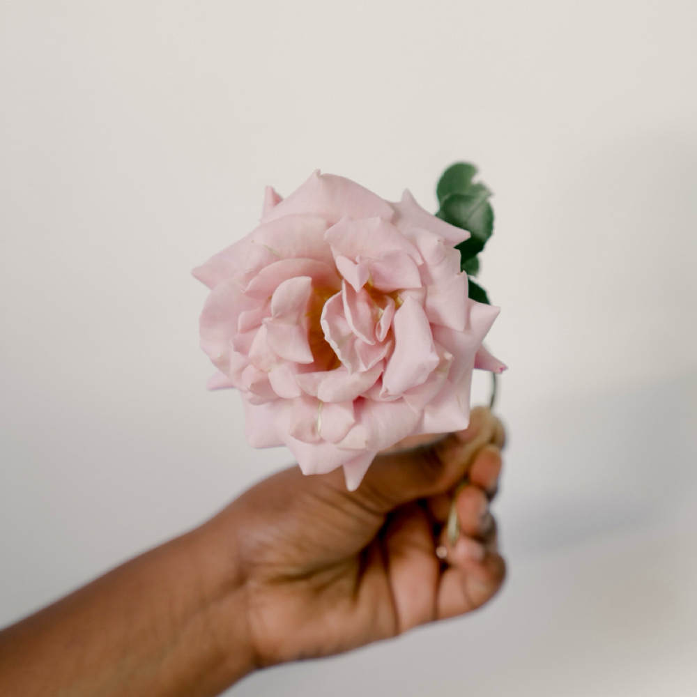 The Reset at June Rose Skin Studio in Conshohocken, PA