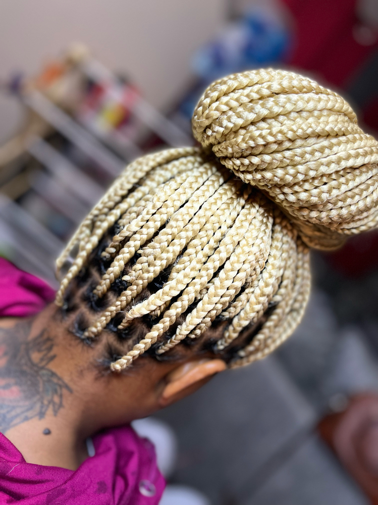 Small Knotless Box Braids Mid Back