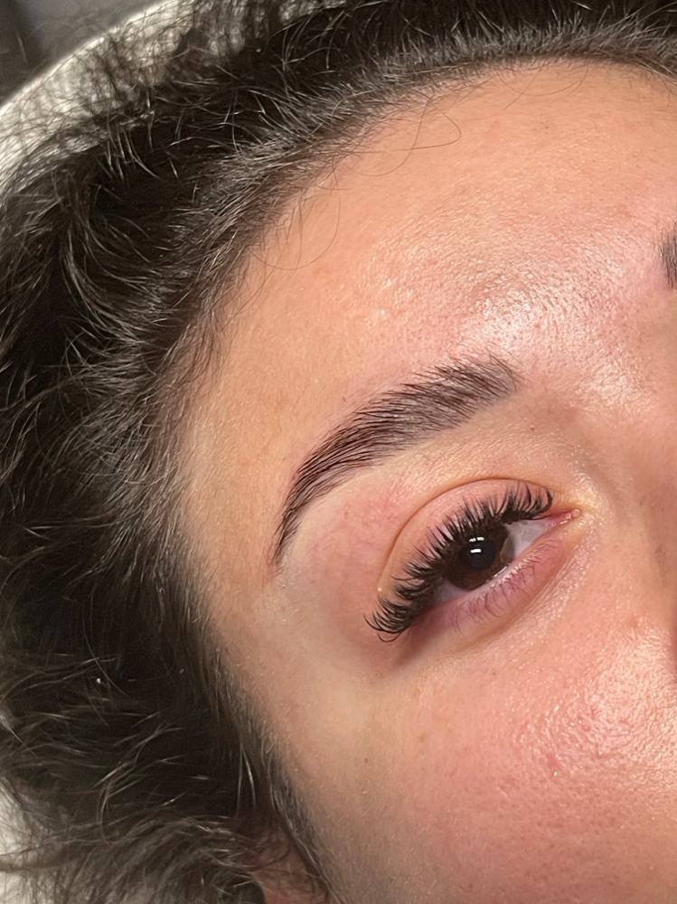 The Brow Lamination