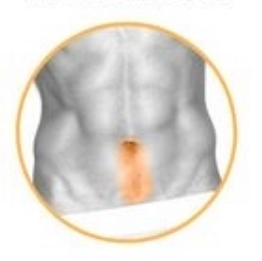 ABDOMEN TRAIL Laser Hair Removal