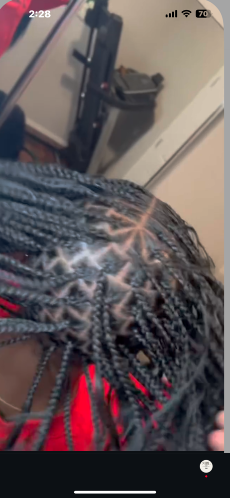 Synthetic Light Curls (BOHO)