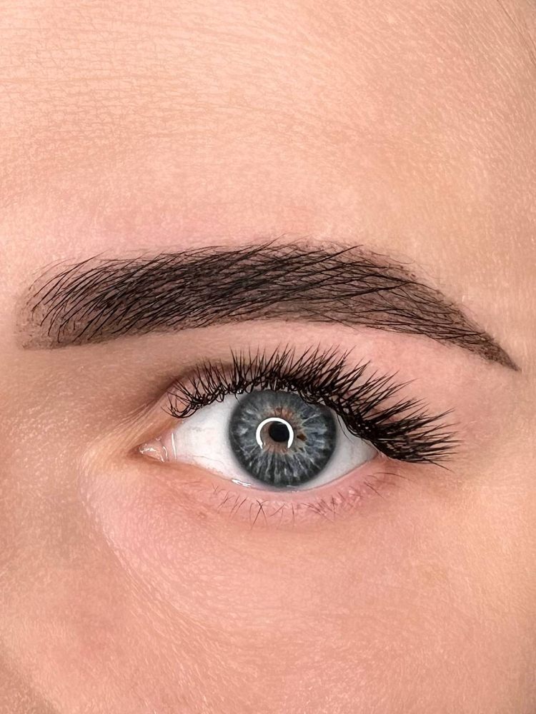Brow Tint & Shaping at Dina Staroverova in Fair Oaks, CA