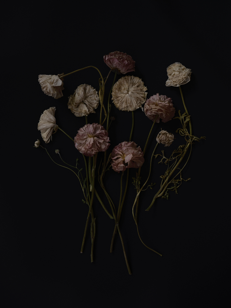 Blonde Transformation