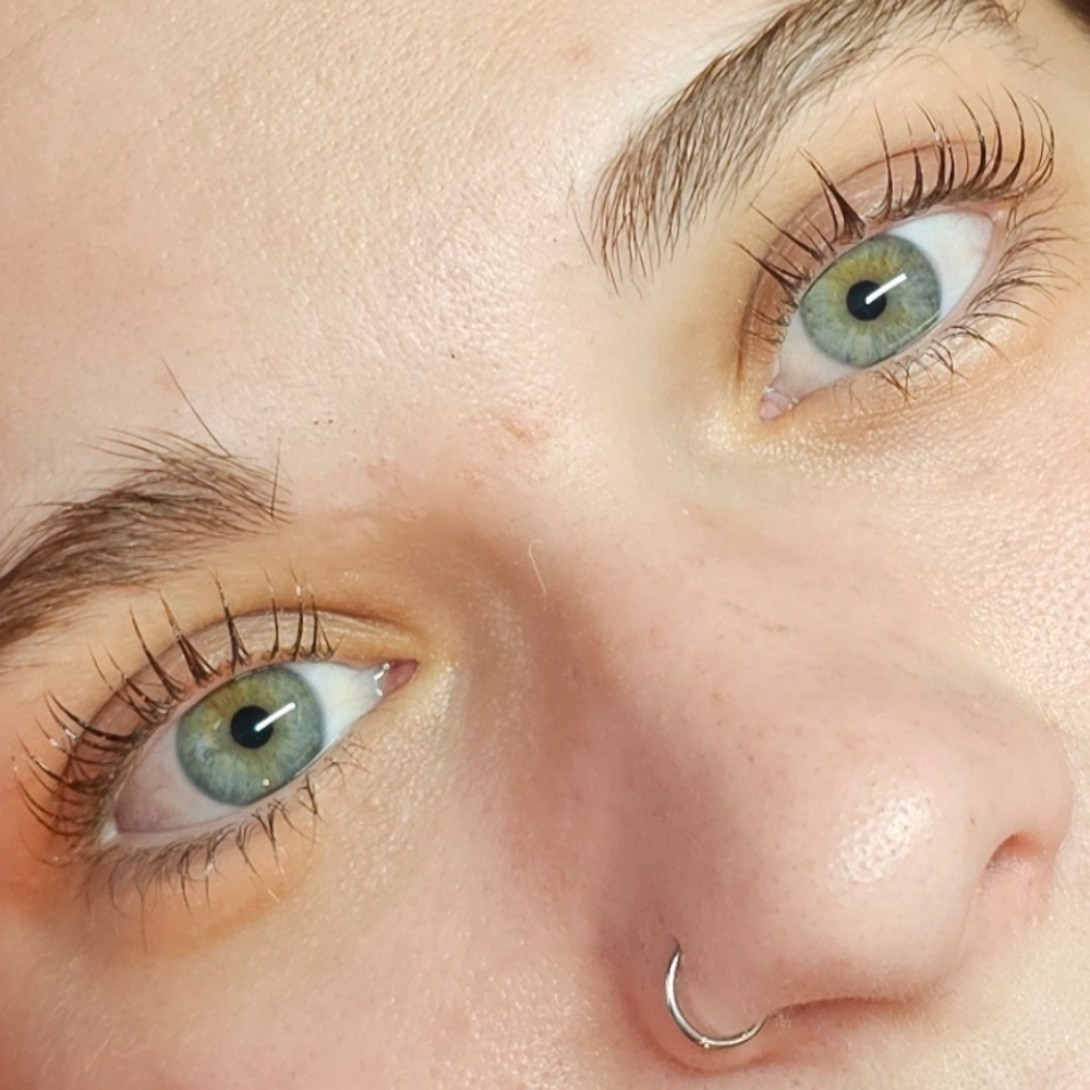 Korean Lash Lift w/Tint at Blossom Beauty Bar in Colorado Springs, CO