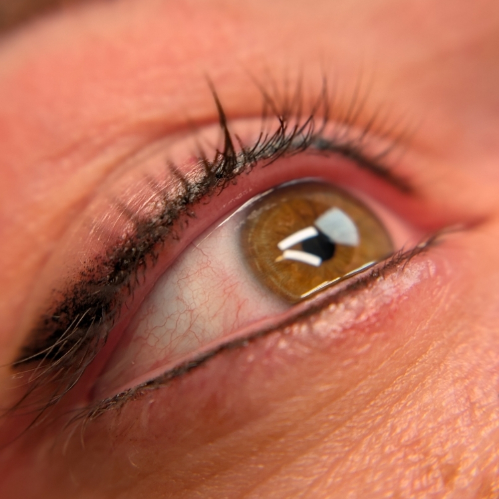 Lash Enhancement Top or Bottom only at PMU Crew in West Valley, UT