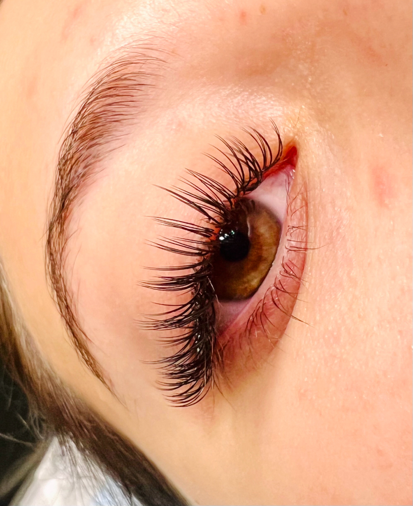 Classic 2D Refill 4 Week (28-31day)