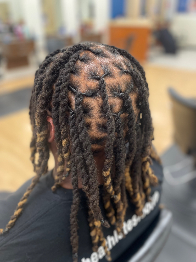 Loc Retwist