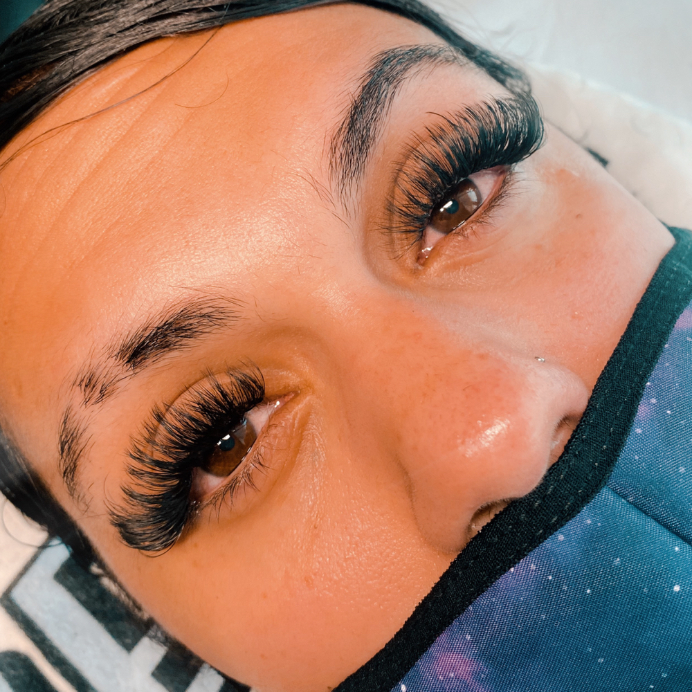 Volume Lashes
