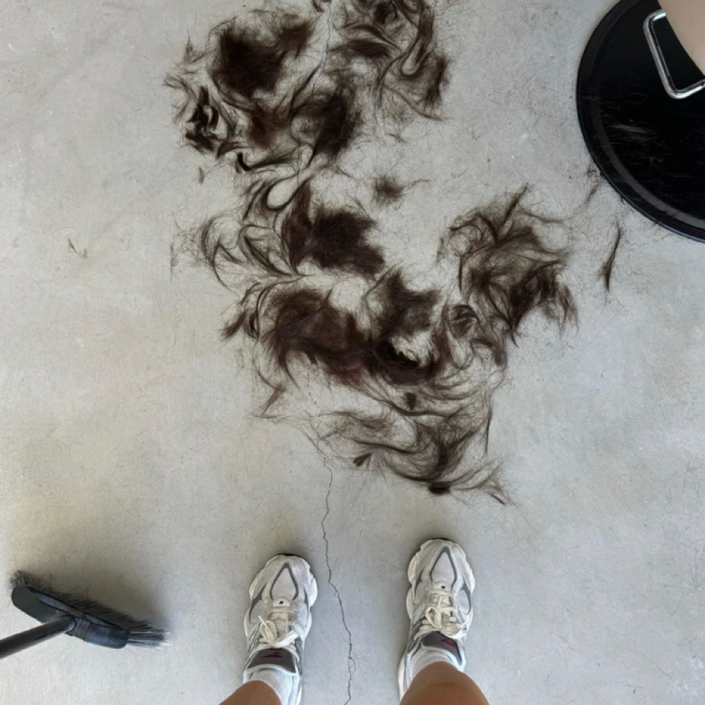 Haircut at Marrisa Ann Beauty in Orland Park, IL