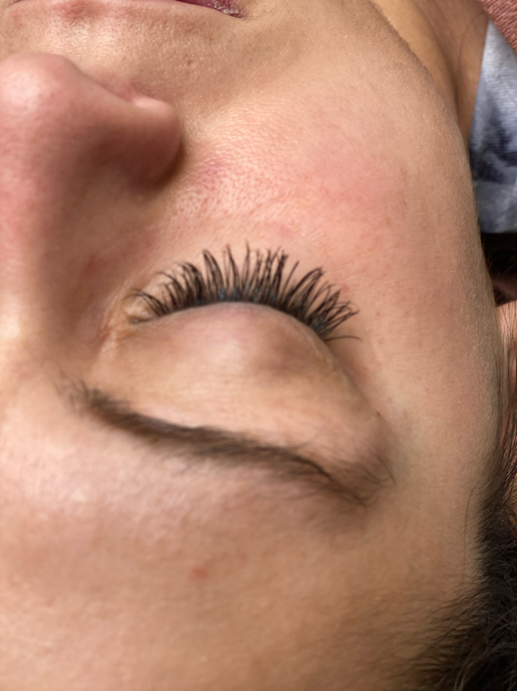 Classic Lash