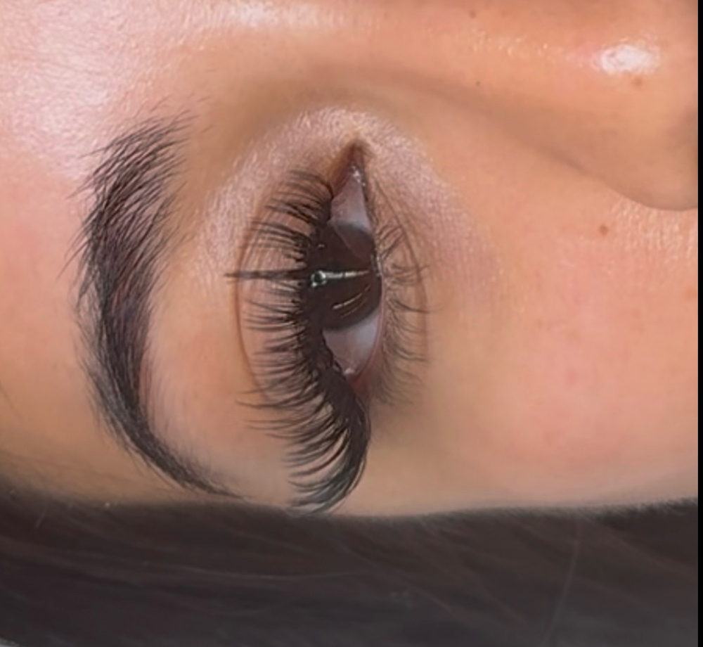 Wet Set Lashes