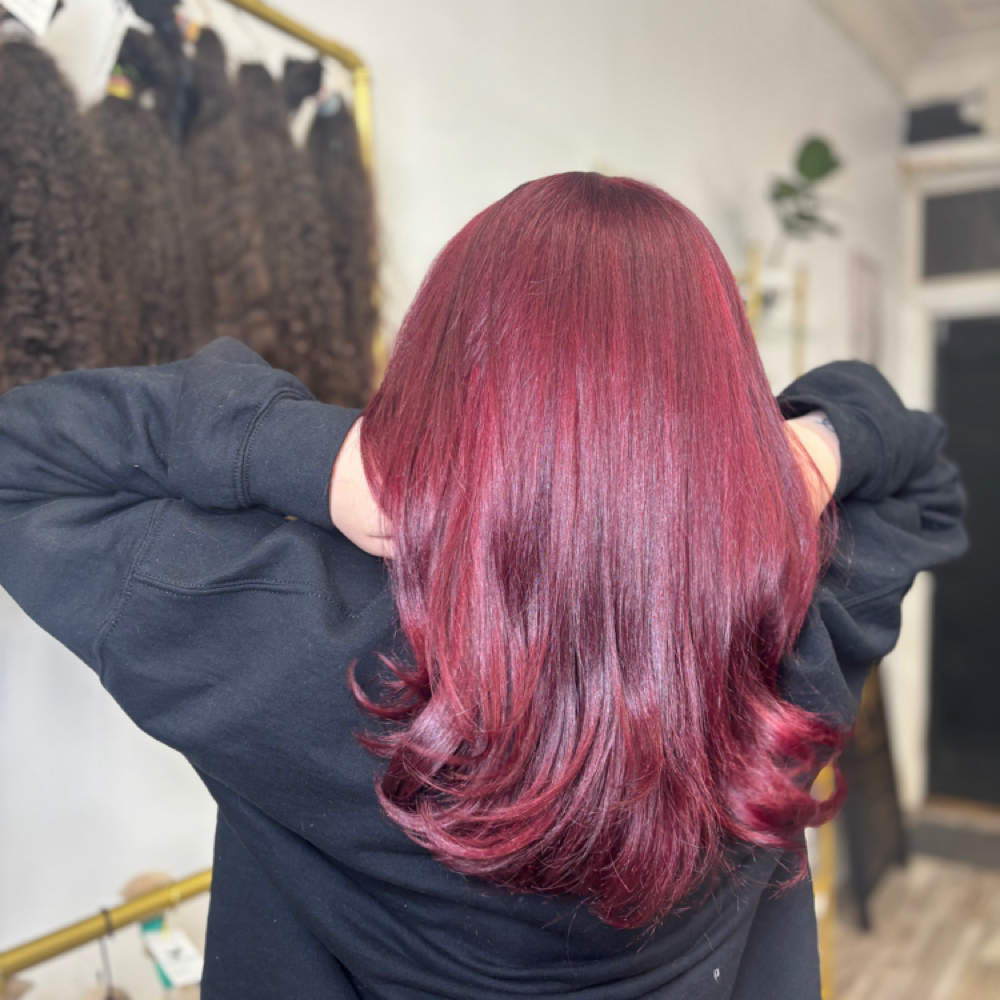 Solid Color Package at Cyn Beauty in Bristol Pa, PA