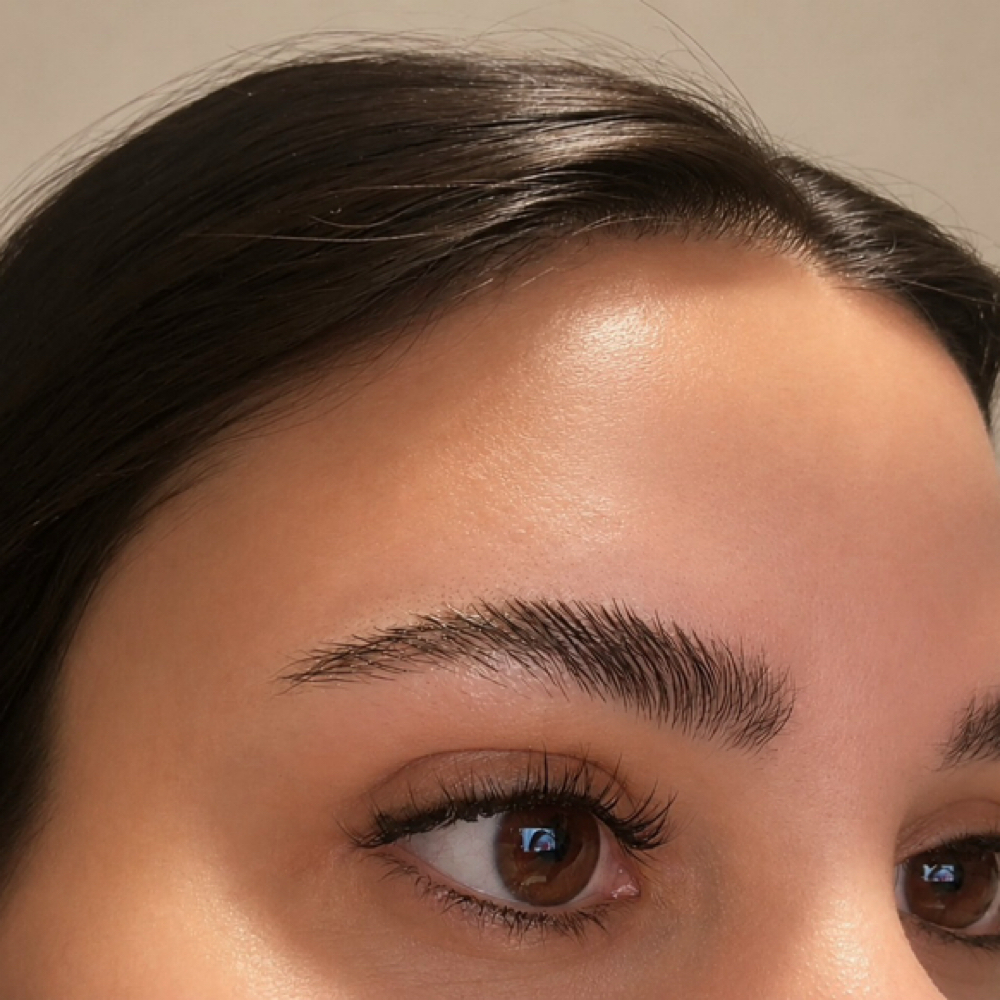 Stand Alone - Brow Lamination at Radiance by Nic in Macon, GA