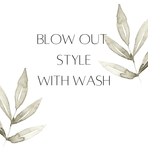 Blow Out W/ Deep Scalp Cleansing