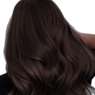 All Over Color Demi permanent. at Darling Do’s by Audi T in Grand Rapids, MI