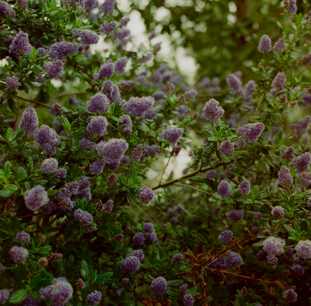 Touch Up, Gloss And Treatment