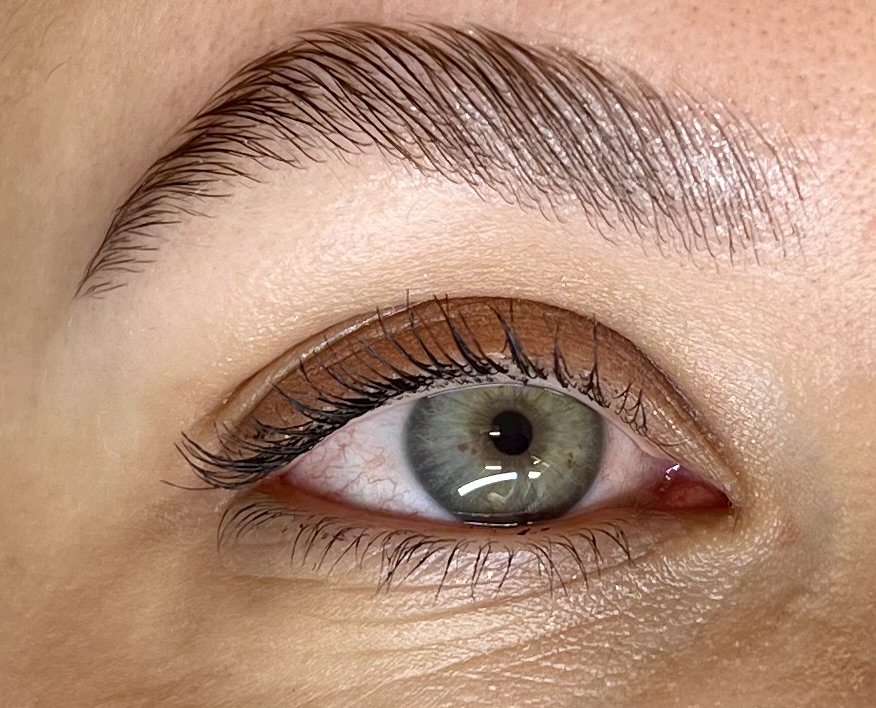 Brow & Lash Tint Combo