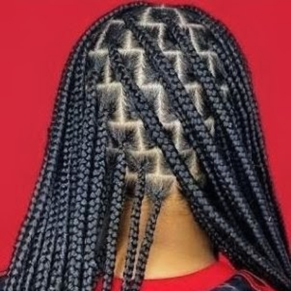 Knotless Box Braids🌱STANDARD FEES at Empire Stylez Beauty & Barber Shop in Cookeville, TN