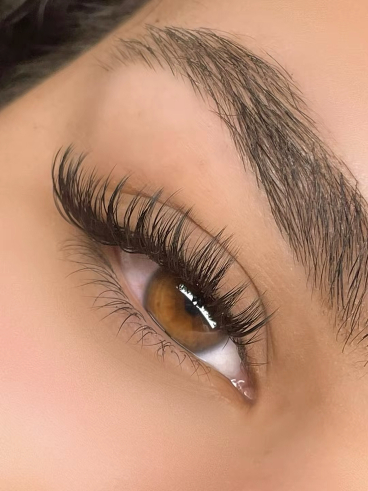 Touch Up Lash Fill