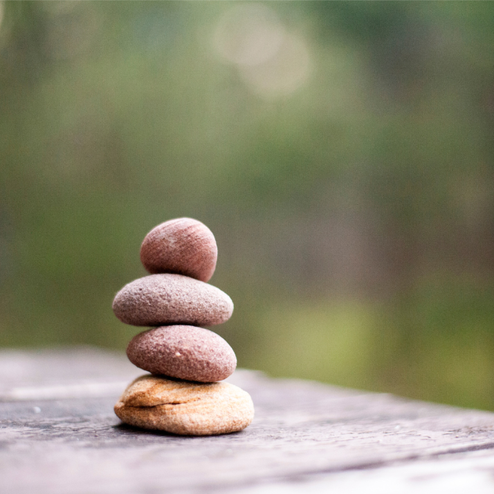 Lifestyle Alignment Coaching