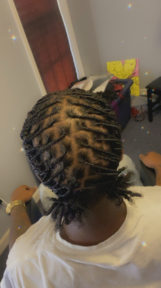 Starter Locs