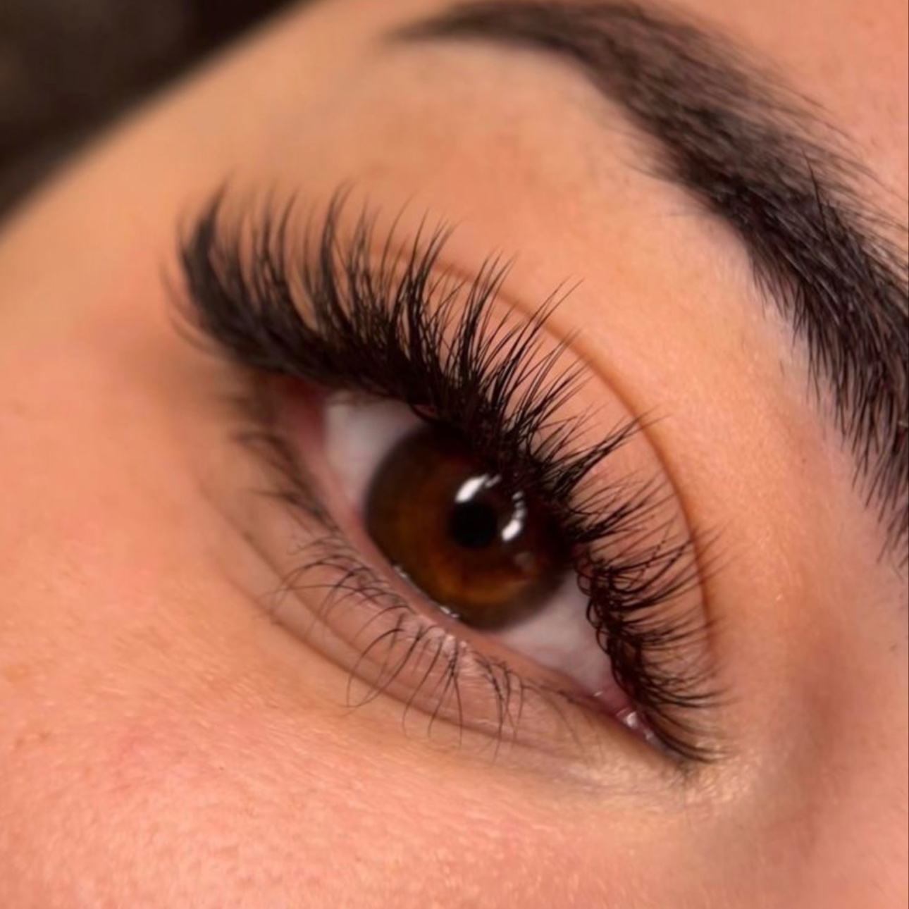 HYBRID WISPY - 4 Week Fill