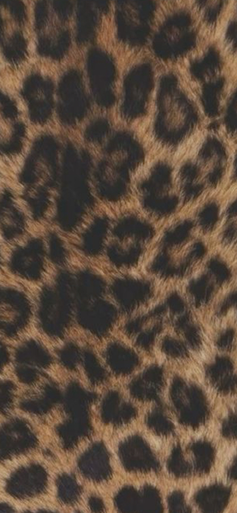 Brazilian+Underarm Wax