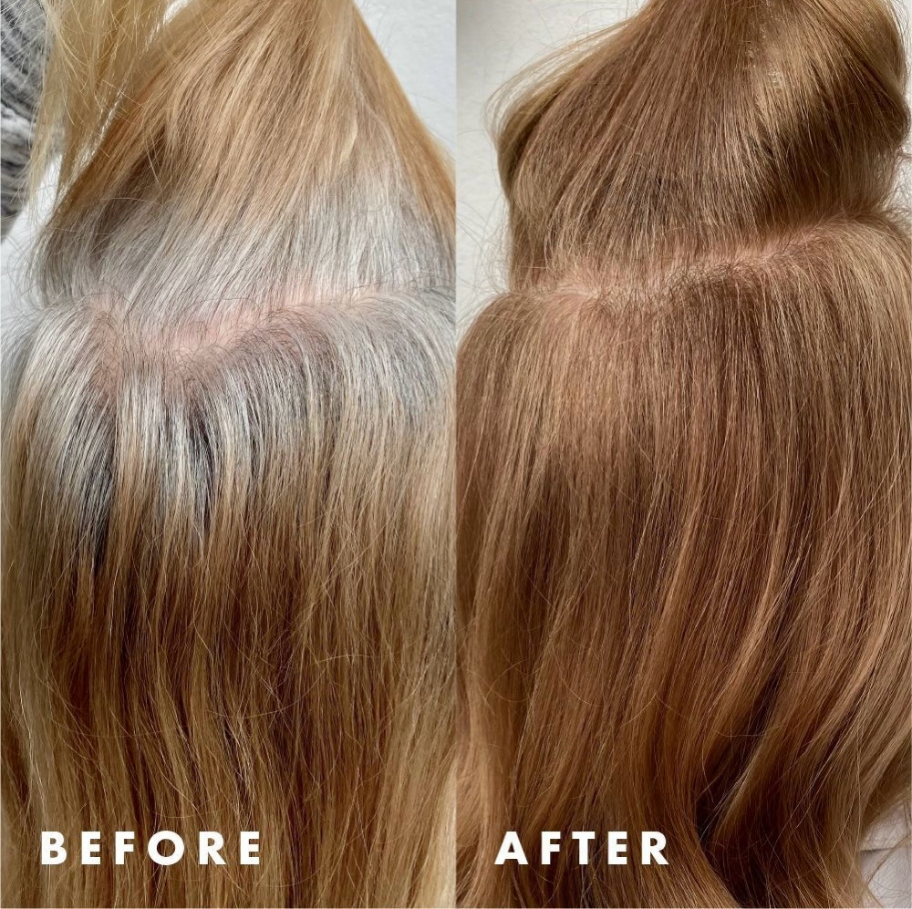 Gray Re-Touch 4-6 Week Growout!