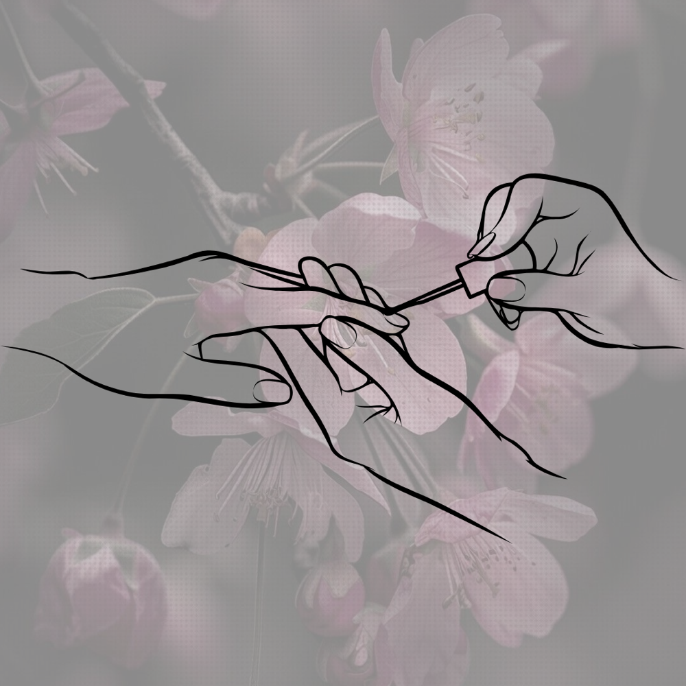 Overlay Full Set