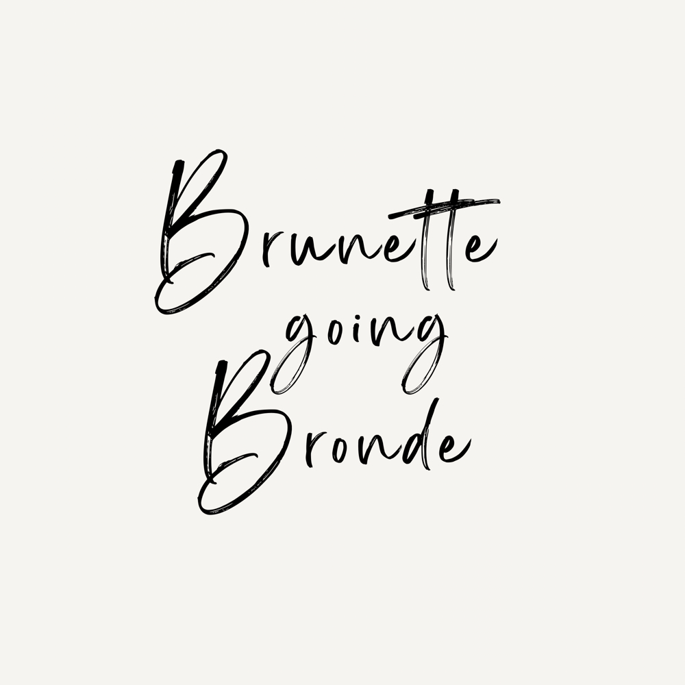 Brunette Going Bronde at Hair by Whitney G in Orlando, FL