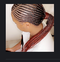 BraidedPonytail W/out Hair