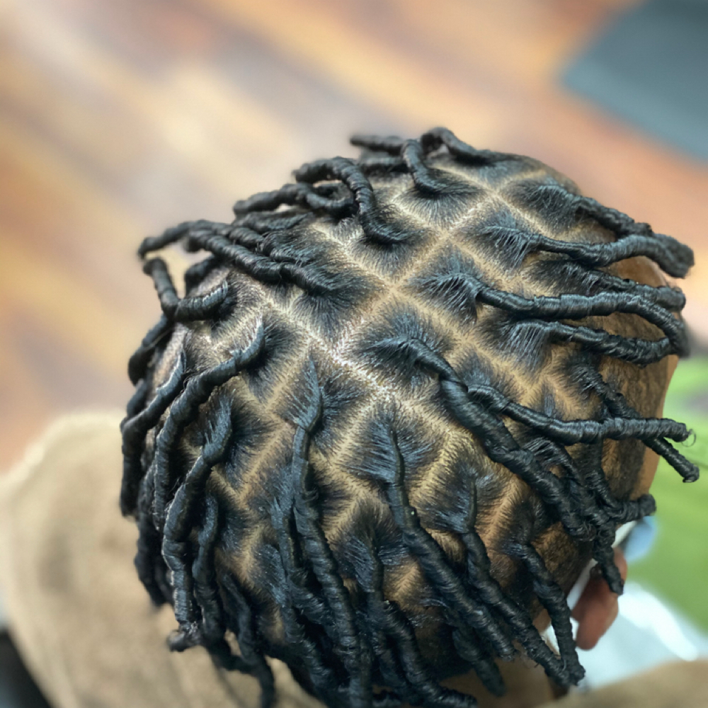 Kids Starter Locs at Naturally twisted in Danbury, CT